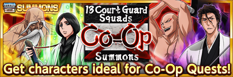 13 Court Guard Squads Co Op Summons